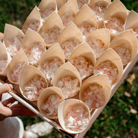 Strawberries and Cream|The Ultimate Hydrangea Petal Bundle (petals, cones, cone trays) - The Whole Bride
