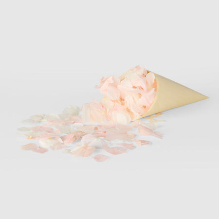 Hydrangea Flower Petal Confetti | The Whole Bride
