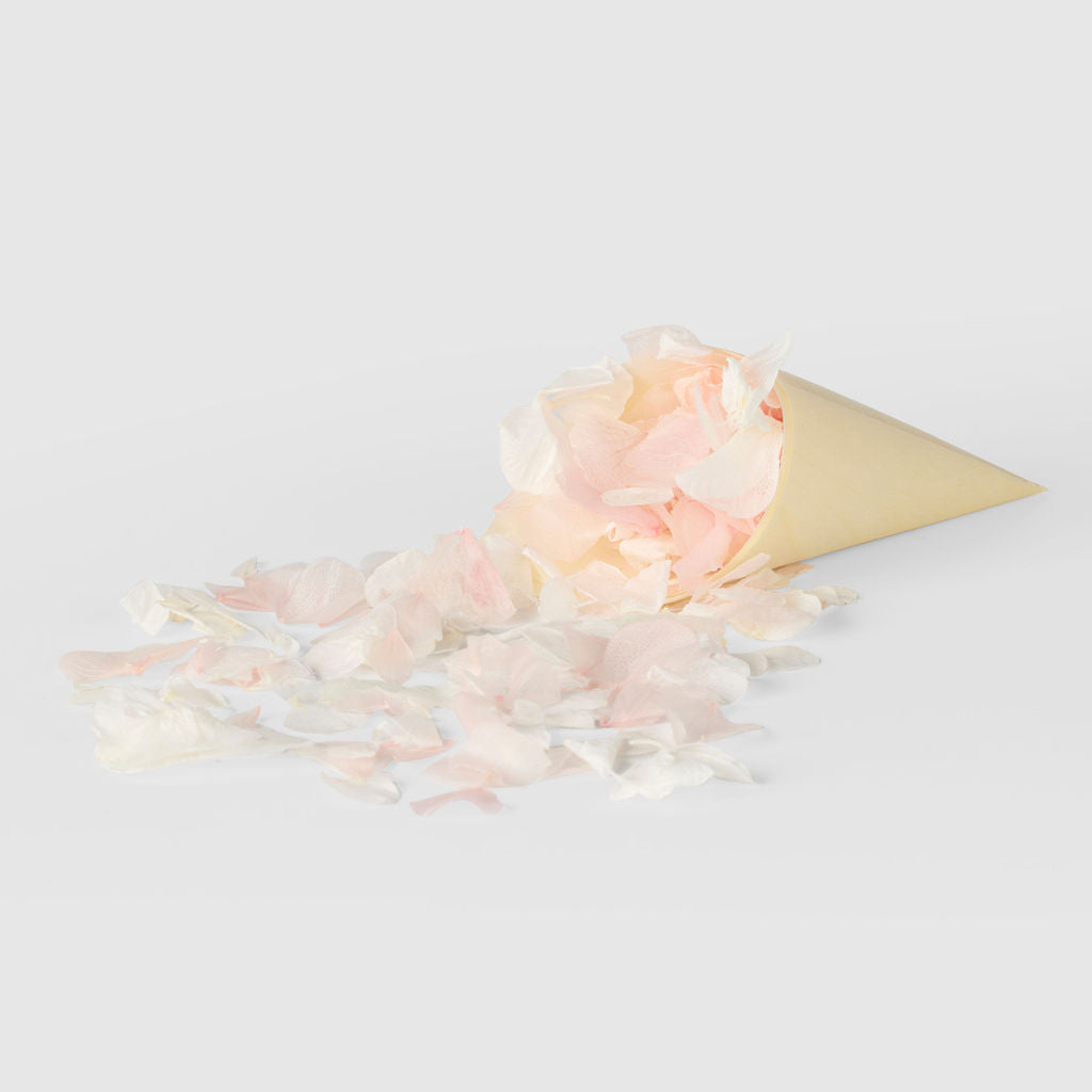 strawberries and cream| Hydrangea Flower Petal Confetti - The Whole Bride