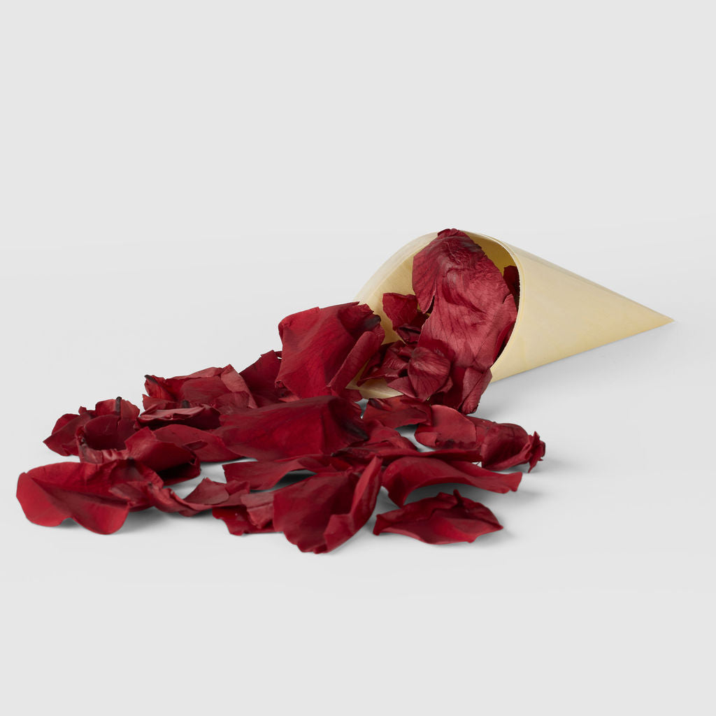 Ruby Red|The Rose Petal Bundle (petals + cones) - The Whole Bride