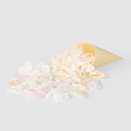sherbet|The Rose Petal Bundle (petals + cones) - The Whole Bride