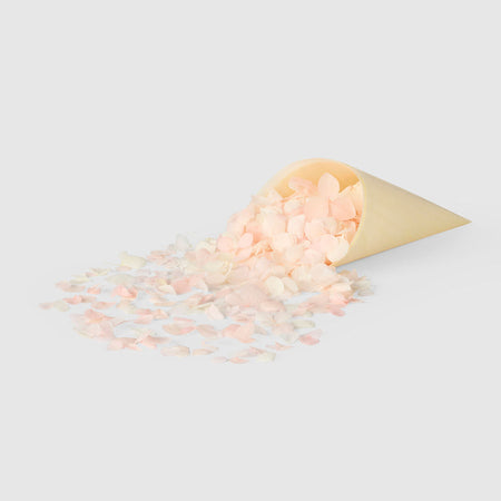 Hydrangea Flower Petal Confetti | The Whole Bride