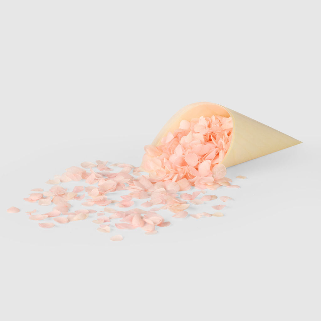 peach| Hydrangea Flower Petal Confetti - The Whole Bride