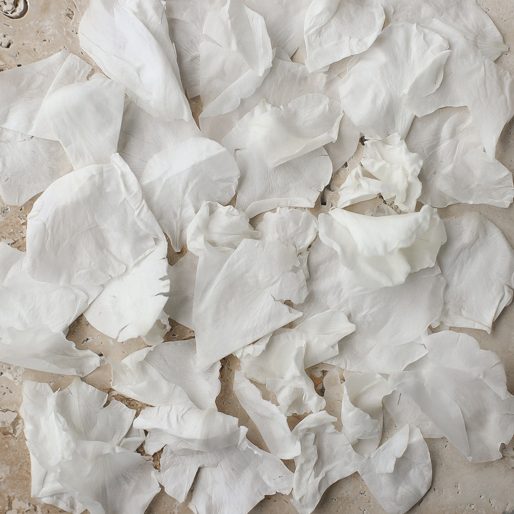 white|The Ultimate Rose Petal Bundle (petals, cones + trays) - The Whole Bride