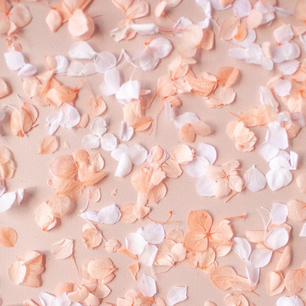 peaches and cream|Hydrangea Petals (bag only) - The Whole Bride