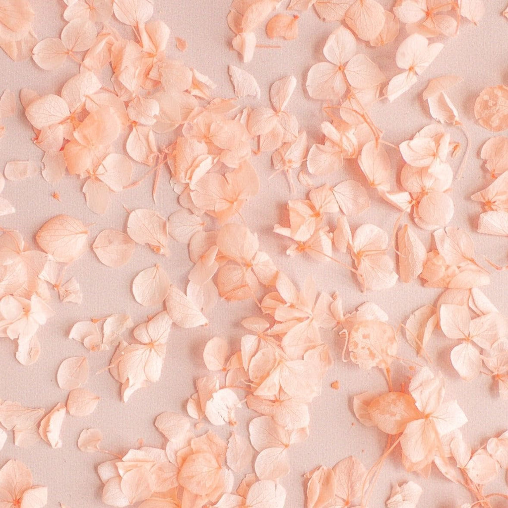 peach|Hydrangea Petals (bag only) - The Whole Bride