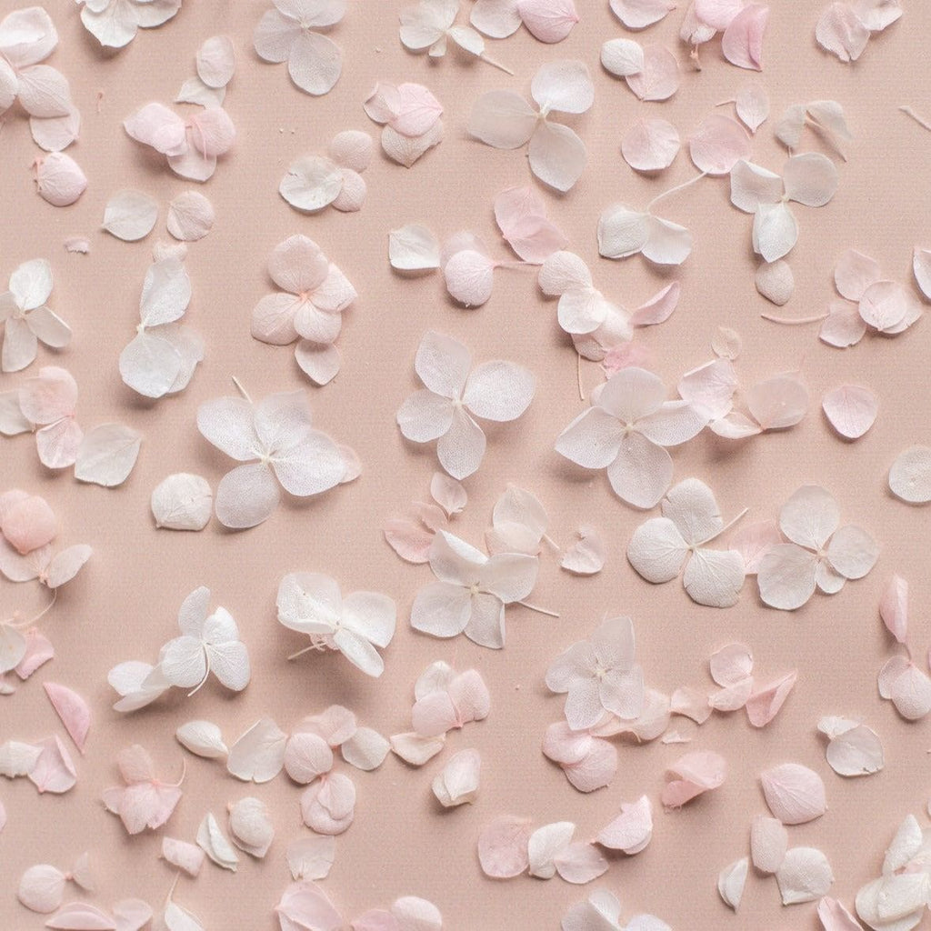 strawberries and cream|Hydrangea Petals (bag only) - The Whole Bride