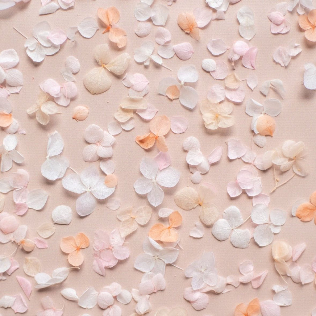 sherbet|Hydrangea Petals (bag only) - The Whole Bride