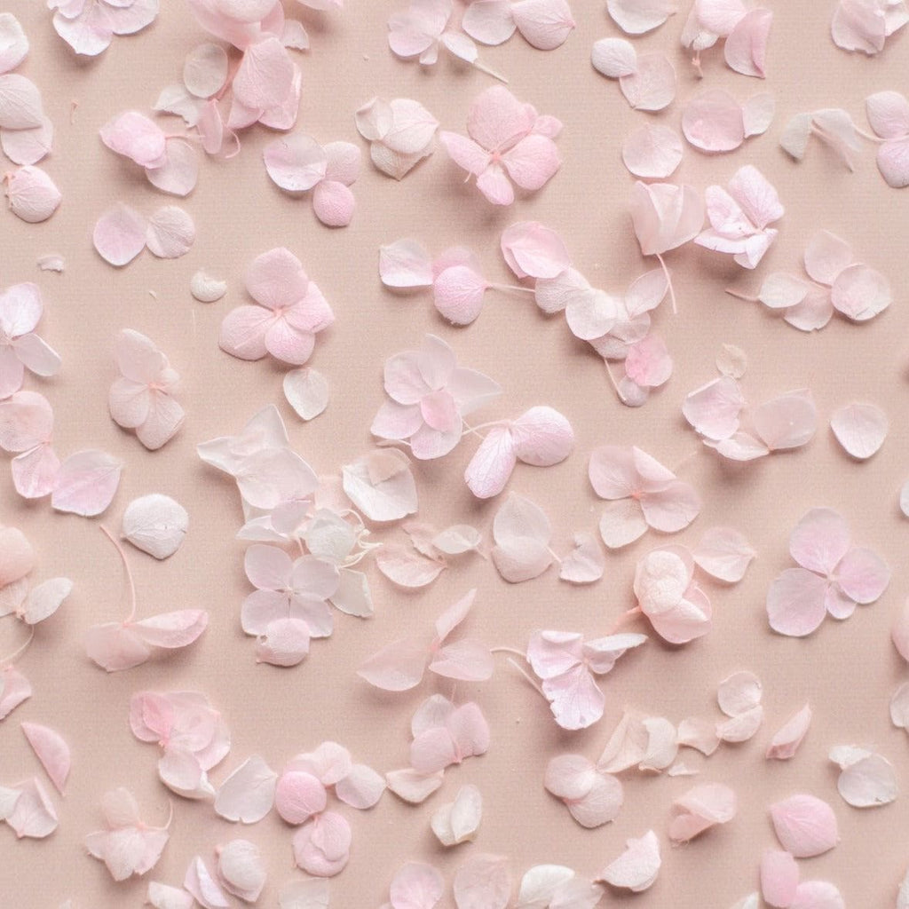 pink|Hydrangea Petals (bag only) - The Whole Bride