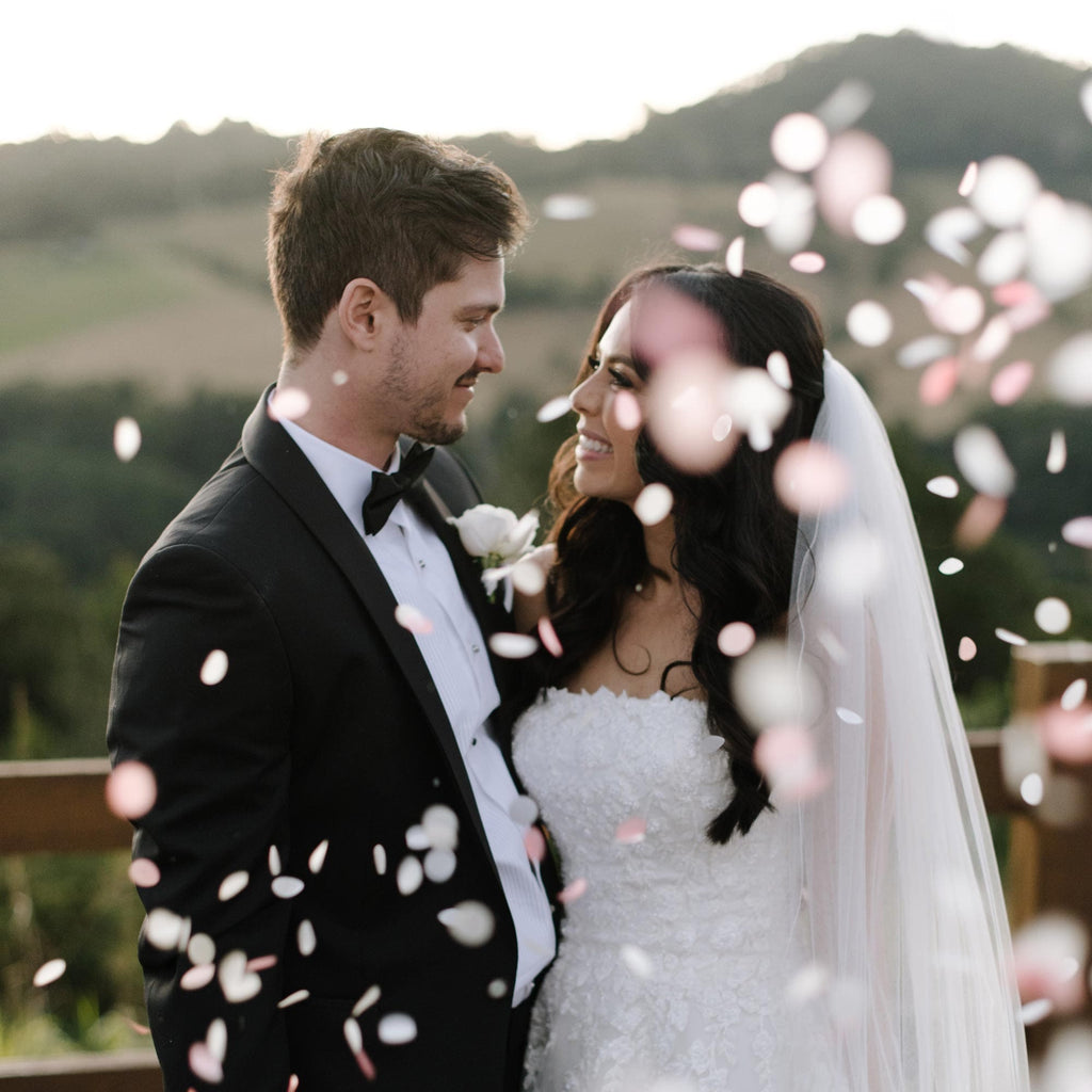 strawberries and cream|The Ultimate Confetti Bundle - Circle (cones, confetti + trays) - The Whole Bride