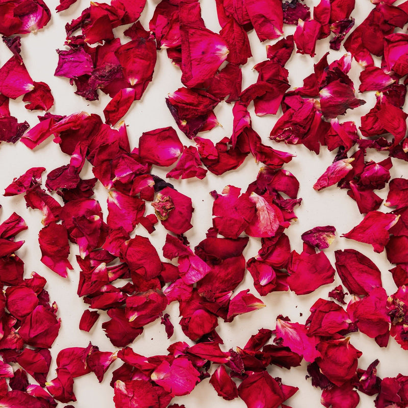 The Ultimate Rose Petal Bundle (petals, cones + trays) - The Whole Bride