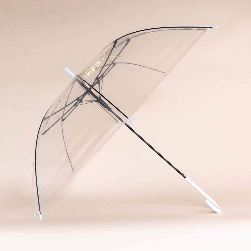 Umbrella - The Whole Bride